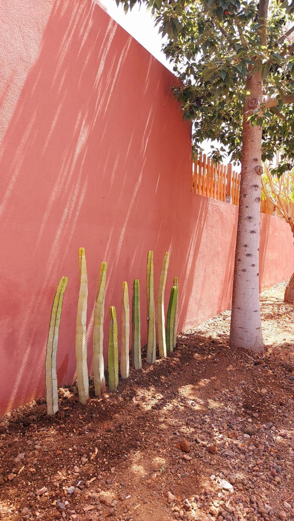 Adosado La Tabaiba Villa San Miguel de Abona Eksteriør bilde
